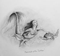 Mermaid and turles